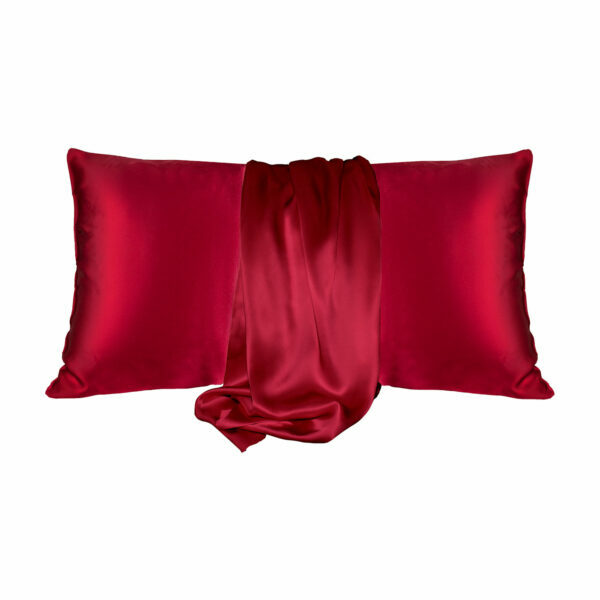 Andaz Silks- 100% Mulberry Silk Pillowcase- King
